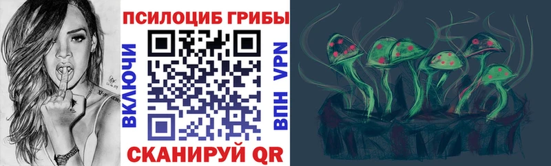 Псилоцибиновые грибы мухоморы  darknet Telegram  Королёв  кракен рабочий сайт 